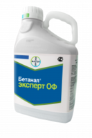 Бетанал Эксперт ОФ, КЭ 