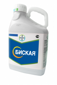 Биская, МД 