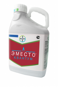 Эместо Квантум, КС