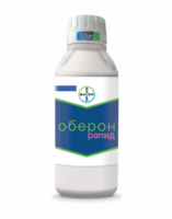 Оберон Рапид, КС 