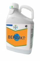 Вердикт, ВДГ 