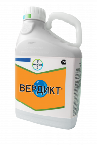 Вердикт, ВДГ 